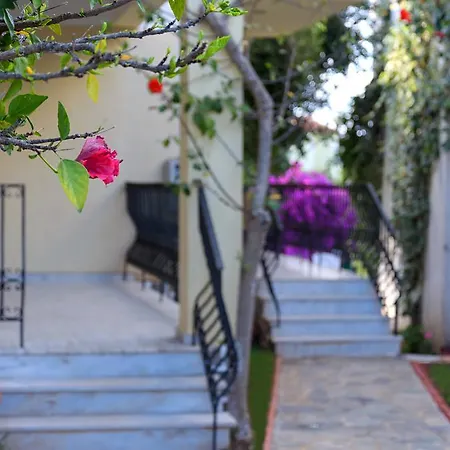 Apartment Anesis *